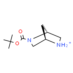 ChemSpider 2D Image | (1R,4R)-5-{[(2-Methyl-2-propanyl)oxy]carbonyl}-5-aza-2-azoniabicyclo[2.2.1]heptane | C10H19N2O2