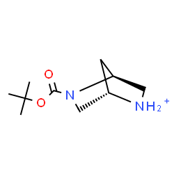 ChemSpider 2D Image | (1S,4S)-5-{[(2-Methyl-2-propanyl)oxy]carbonyl}-5-aza-2-azoniabicyclo[2.2.1]heptane | C10H19N2O2