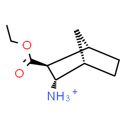 ChemSpider 2D Image | (1S,2S,3S,4S)-3-(Ethoxycarbonyl)bicyclo[2.2.1]heptan-2-aminium | C10H18NO2