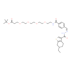 ChemSpider 2D Image | 2-Methyl-2-propanyl 1-{4-[(Z)-{[(6-ethyl-4,5,6,7-tetrahydro-1-benzothiophen-3-yl)carbonyl]hydrazono}methyl]phenyl}-1-oxo-5,8,11,14-tetraoxa-2-azaheptadecan-17-oate | C34H49N3O8S