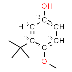 ChemSpider 2D Image | 4-Methoxy-3-(2-methyl-2-propanyl)(~13~C_6_)phenol | C513C6H16O2