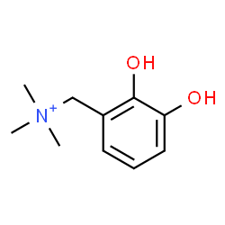 ChemSpider 2D Image | (2,3-Dihydroxyphenyl)-N,N,N-trimethylmethanaminium | C10H16NO2