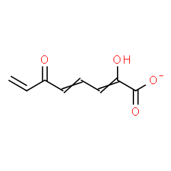 ChemSpider 2D Image | (2Z,4E)-2-Hydroxy-6-oxo-2,4,7-octatrienoate | C8H7O4