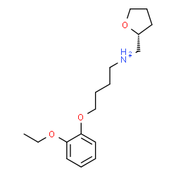 ChemSpider 2D Image | 4-(2-Ethoxyphenoxy)-N-[(2R)-tetrahydro-2-furanylmethyl]-1-butanaminium | C17H28NO3
