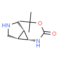 ChemSpider 2D Image | tert-Butyl (1R,5S,6r)-rel-3-azabicyclo[3.1.0]hexan-6-ylcarbamate | C10H18N2O2