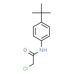 ChemSpider 2D Image | N-(4-tert-butylphenyl)-2-chloroacetamide | C12H16ClNO