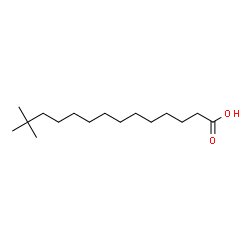 ChemSpider 2D Image | 13,13-Dimethyltetradecanoic acid | C16H32O2