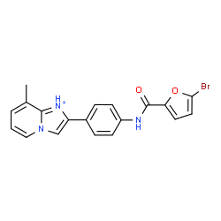 ChemSpider 2D Image | 2-{4-[(5-Bromo-2-furoyl)amino]phenyl}-8-methylimidazo[1,2-a]pyridin-1-ium | C19H15BrN3O2