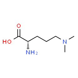 ChemSpider 2D Image | N,N-DIMETHYLORNITHINE | C7H16N2O2