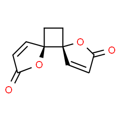 ChemSpider 2D Image | (5R,6R)-1,7-Dioxadispiro[4.0.4.2]dodeca-3,9-diene-2,8-dione | C10H8O4