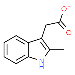 ChemSpider 2D Image | (2-Methyl-1H-indol-3-yl)acetate | C11H10NO2