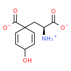 ChemSpider 2D Image | 1-[(2S)-2-Ammonio-2-carboxylatoethyl]-4-hydroxy-2,5-cyclohexadiene-1-carboxylate | C10H12NO5