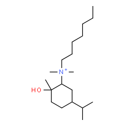 ChemSpider 2D Image | N-Heptyl-2-hydroxy-5-isopropyl-N,N,2-trimethylcyclohexanaminium | C19H40NO