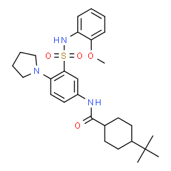ChemSpider 2D Image | N-{3-[(2-Methoxyphenyl)sulfamoyl]-4-(1-pyrrolidinyl)phenyl}-4-(2-methyl-2-propanyl)cyclohexanecarboxamide | C28H39N3O4S
