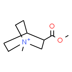 ChemSpider 2D Image | 3-(Methoxycarbonyl)-1-methyl-1-azoniabicyclo[2.2.2]octane | C10H18NO2