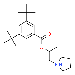 ChemSpider 2D Image | 1-(2-{[3,5-Bis(2-methyl-2-propanyl)benzoyl]oxy}propyl)pyrrolidinium | C22H36NO2