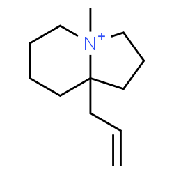 ChemSpider 2D Image | 8a-Allyl-4-methyloctahydroindolizinium | C12H22N