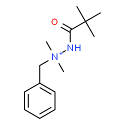 ChemSpider 2D Image | 1-Benzyl-2-(2,2-dimethylpropanoyl)-1,1-dimethylhydrazinium | C14H23N2O