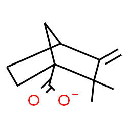 ChemSpider 2D Image | 2,2-Dimethyl-3-methylenebicyclo[2.2.1]heptane-1-carboxylate | C11H15O2