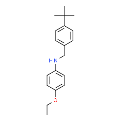 ChemSpider 2D Image | N-[(4-tert-butylphenyl)methyl]-4-ethoxyaniline | C19H25NO