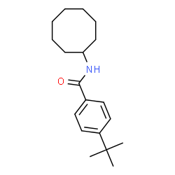 ChemSpider 2D Image | N-Cyclooctyl-4-(2-methyl-2-propanyl)benzamide | C19H29NO