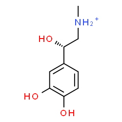 ChemSpider 2D Image | (2S)-2-(3,4-Dihydroxyphenyl)-2-hydroxy-N-methylethanaminium | C9H14NO3
