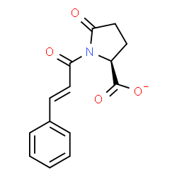 ChemSpider 2D Image | (2S)-5-Oxo-1-[(2E)-3-phenyl-2-propenoyl]-2-pyrrolidinecarboxylate | C14H12NO4