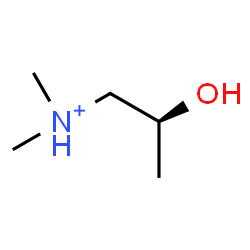 ChemSpider 2D Image | (2S)-2-Hydroxy-N,N-dimethyl-1-propanaminium | C5H14NO