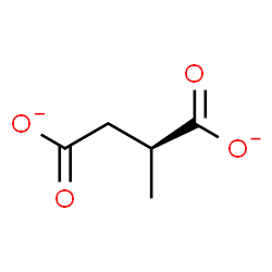 ChemSpider 2D Image | (S)-2-methylsuccinate | C5H6O4