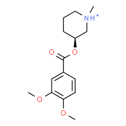 ChemSpider 2D Image | (3S)-3-[(3,4-Dimethoxybenzoyl)oxy]-1-methylpiperidinium | C15H22NO4