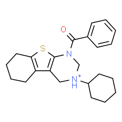 ChemSpider 2D Image | 1-Benzoyl-3-cyclohexyl-1,2,3,4,5,6,7,8-octahydro[1]benzothieno[2,3-d]pyrimidin-3-ium | C23H29N2OS