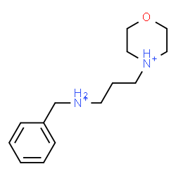 ChemSpider 2D Image | 4-[3-(Benzylammonio)propyl]morpholin-4-ium | C14H24N2O