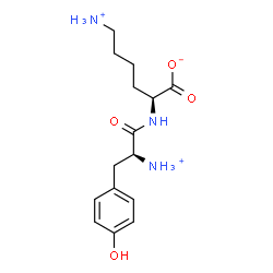ChemSpider 2D Image | (2S)-6-Ammonio-2-{[(2S)-2-ammonio-3-(4-hydroxyphenyl)propanoyl]amino}hexanoate | C15H24N3O4