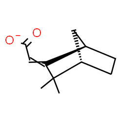 ChemSpider 2D Image | [(1R,4S)-3,3-Dimethylbicyclo[2.2.1]hept-2-ylidene]acetate | C11H15O2
