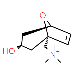 ChemSpider 2D Image | [(1R,3R,5R)-3-Hydroxy-8-oxabicyclo[3.2.1]oct-6-en-1-yl]-N,N-dimethylmethanaminium | C10H18NO2