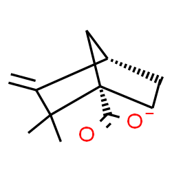 ChemSpider 2D Image | (1S,4S)-2,2-Dimethyl-3-methylenebicyclo[2.2.1]heptane-1-carboxylate | C11H15O2