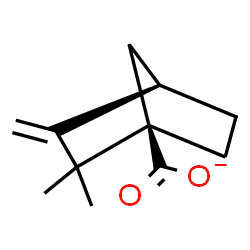 ChemSpider 2D Image | (1R,4R)-2,2-Dimethyl-3-methylenebicyclo[2.2.1]heptane-1-carboxylate | C11H15O2