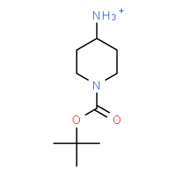 ChemSpider 2D Image | 1-{[(2-Methyl-2-propanyl)oxy]carbonyl}-4-piperidinaminium | C10H21N2O2