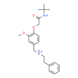ChemSpider 2D Image | N-(3-Methoxy-4-{2-[(2-methyl-2-propanyl)amino]-2-oxoethoxy}benzyl)-2-phenylethanaminium | C22H31N2O3