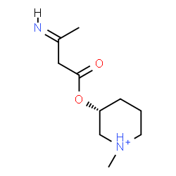 ChemSpider 2D Image | (3R)-3-{[(3E)-3-Iminobutanoyl]oxy}-1-methylpiperidinium | C10H19N2O2