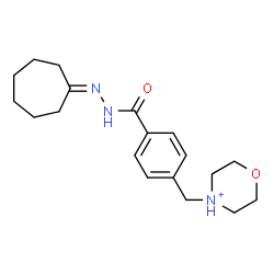 ChemSpider 2D Image | 4-{4-[(2-Cycloheptylidenehydrazino)carbonyl]benzyl}morpholin-4-ium | C19H28N3O2
