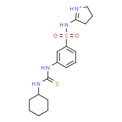 ChemSpider 2D Image | 5-[({3-[(Cyclohexylcarbamothioyl)amino]phenyl}sulfonyl)amino]-3,4-dihydro-2H-pyrrolium | C17H25N4O2S2