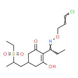 ChemSpider 2D Image | 2-[(1E)-N-{[(2E)-3-Chlor-2-propen-1-yl]oxy}propanimidoyl]-5-[2-(ethylsulfonyl)propyl]-3-hydroxy-2-cyclohexen-1-on | C17H26ClNO5S