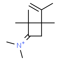 ChemSpider 2D Image | 3-Isopropenyl-N,N,2,2,3-pentamethylcyclobutaniminium | C12H22N