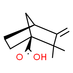 ChemSpider 2D Image | (1S,4S)-2,2-Dimethyl-3-methylenebicyclo[2.2.1]heptane-1-carboxylic acid | C11H16O2