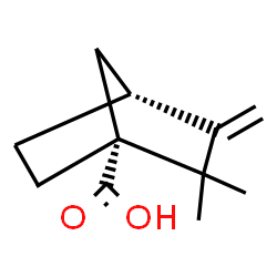 ChemSpider 2D Image | (1R,4R)-2,2-Dimethyl-3-methylenebicyclo[2.2.1]heptane-1-carboxylic acid | C11H16O2