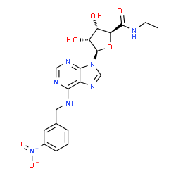 ChemSpider 2D Image | (2S,3S,4R,5R)-N-Ethyl-3,4-dihydroxy-5-{6-[(3-nitrobenzyl)amino]-9H-purin-9-yl}tetrahydro-2-furancarboxamide | C19H21N7O6