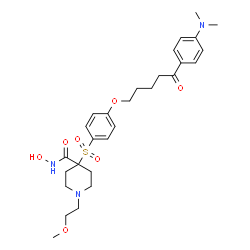 ChemSpider 2D Image | 4-{[4-({5-[4-(Dimethylamino)phenyl]-5-oxopentyl}oxy)phenyl]sulfonyl}-N-hydroxy-1-(2-methoxyethyl)-4-piperidinecarboxamide | C28H39N3O7S