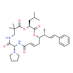 ChemSpider 2D Image | (3S,10R,13E,16S)-3-Isobutyl-6,6-dimethyl-16-[(2R,3E)-4-phenyl-3-buten-2-yl]-10-(1-pyrrolidinyl)-1,4-dioxa-8,11-diazacyclohexadec-13-ene-2,5,9,12-tetrone | C32H45N3O6