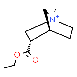 ChemSpider 2D Image | (3S,4S)-3-(Ethoxycarbonyl)-1-methyl-1-azoniabicyclo[2.2.1]heptane | C10H18NO2